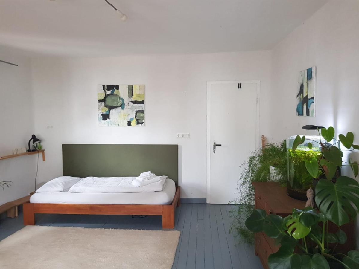 Aeltestes Haus In Quentel - Ferienwohnung 2 Mit Dachterrasse Lichtenau المظهر الخارجي الصورة