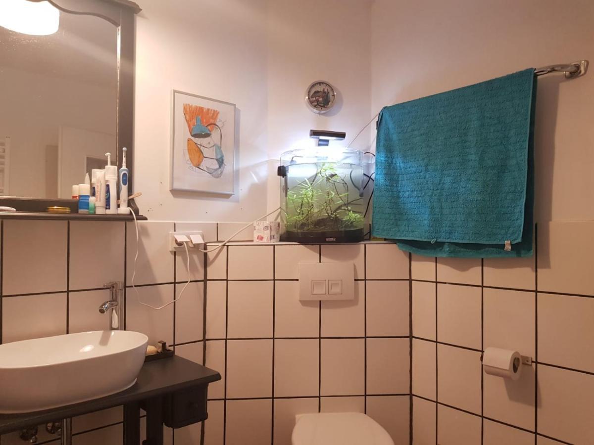 Aeltestes Haus In Quentel - Ferienwohnung 2 Mit Dachterrasse Lichtenau المظهر الخارجي الصورة